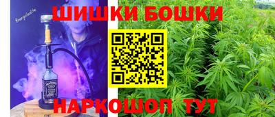 шишки Заводоуковск