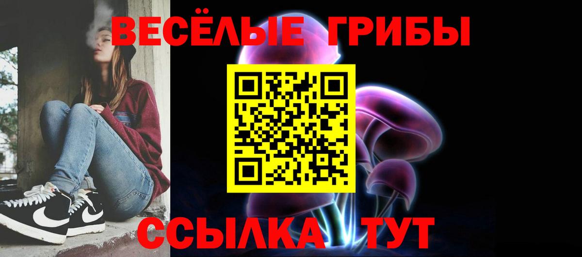 Менделеевск  Псилоцибиновые грибы Psilocybine cubensis  Галлюциногенные грибы Psilocybine cubensis  где купить наркоту  Вход с VPN 